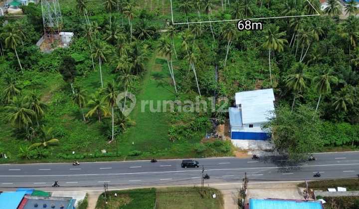 Tanah Kawasan Pal Kabupaten Kubu Raya 3 Hektar Tanah Kawasan Pal Kabupaten Kubu Raya 3 Hektar