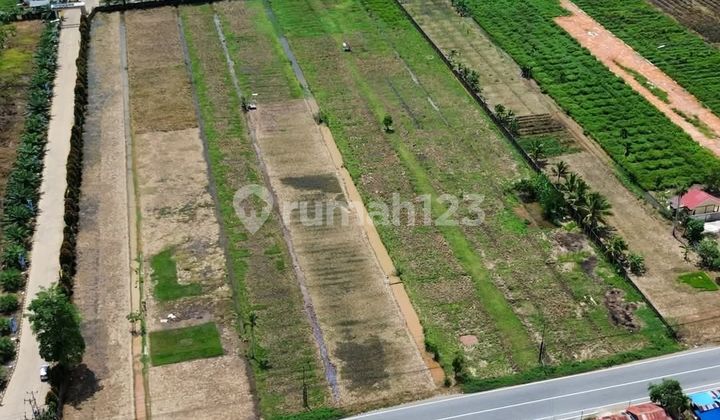 Tanah Tepi Jalan Pal 9 Kabupaten Kuburaya Pontianak
