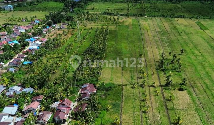 Tanah Tepi Jalan Jungkat Sampai Tepi Laut 1