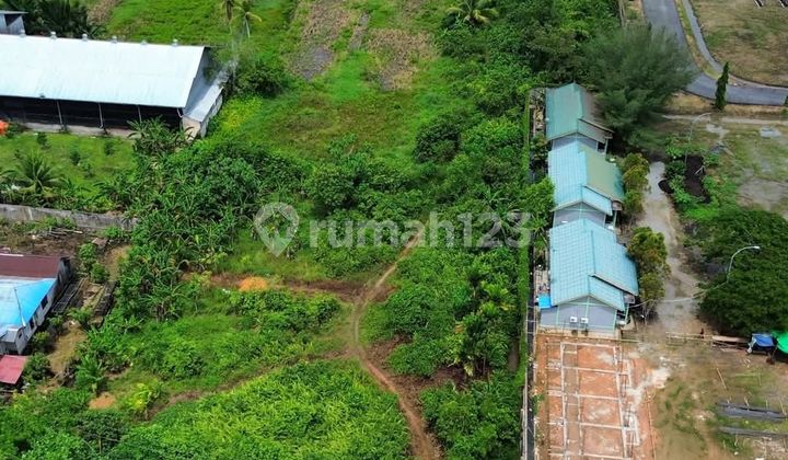 Tanah Jual Tepi Jalan Wajok Hilir 9 Hektar 2