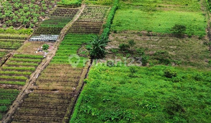 Tanah Jual Tepi Jalan Kebangkitan Nasional Siantan