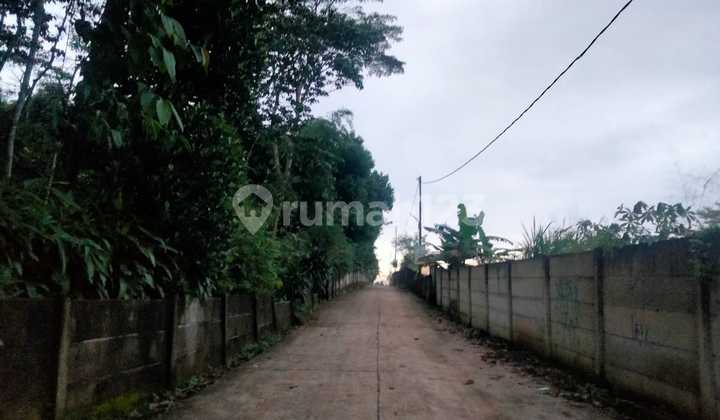 Tanah pinggir jalan raya 5