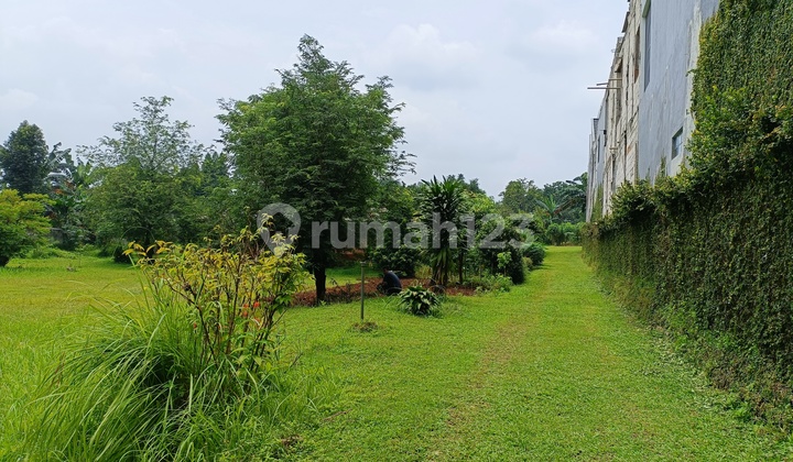 Tanah pinggir jalan raya 8