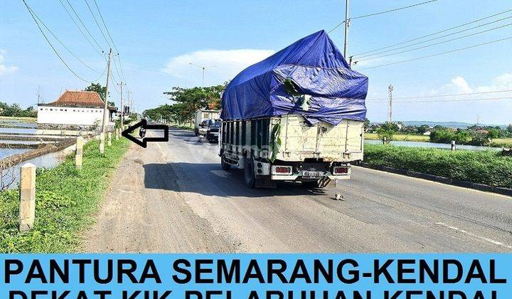 Tanah Area Industri Raya Pantura Semarang Kendal arteri Kaliwungu Dekat Kik Kendal 1