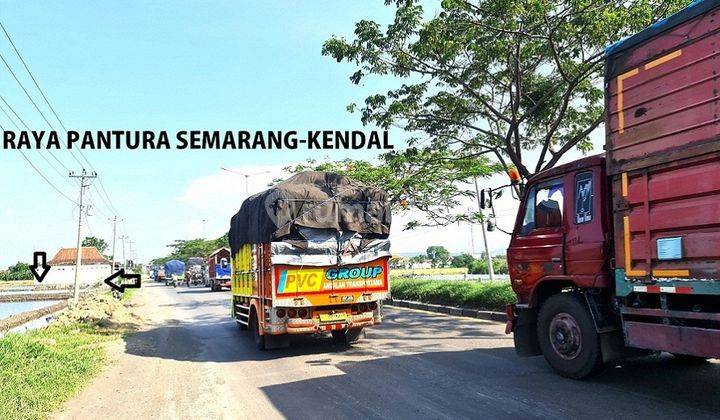 Tanah Zona Industri Lingkar Semarang Kendal arteri Kaliwungu 3