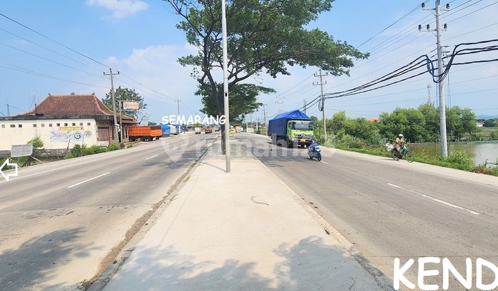 Industrial Zone Land - Has Drainage Permit (HM), located on the Pantura main road Kendal-Semarang, near KIK, and close to Kendal Port. Industrial Zone Land - Has Drainage Permit (HM), located on the Pantura main road Kendal-Semarang, near KIK, and close to Kendal Port.