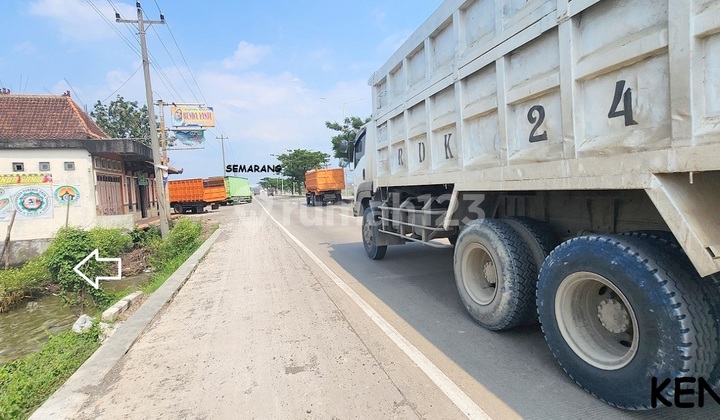 Tanah HM Zona Industri Pinggir jalan Raya Pantura/lingkar Kaliwungu Kendal Tanah HM Zona Industri Pinggir jalan Raya Pantura/lingkar Kaliwungu Kendal