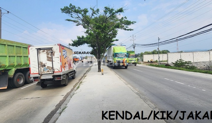 Freehold Land Industrial Zone Along Pantura/Main Road Kaliwungu Ring Road Near Kendal Port Freehold Land Industrial Zone Along Pantura/Main Road Kaliwungu Ring Road Near Kendal Port