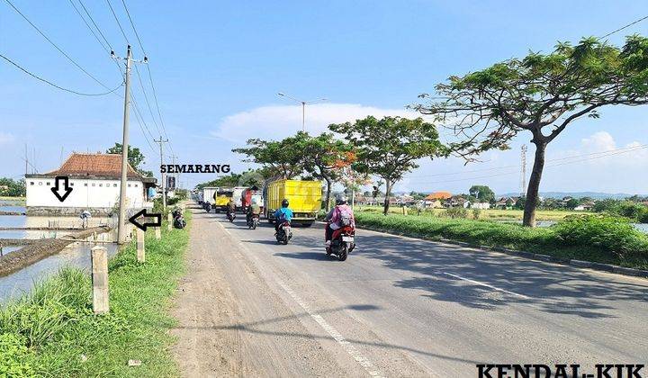 Lahan Zona Industri Ada Ijin Pengeringan Raya Lingkar Arteri Kaliwungu Dekat Kik Kendal 2