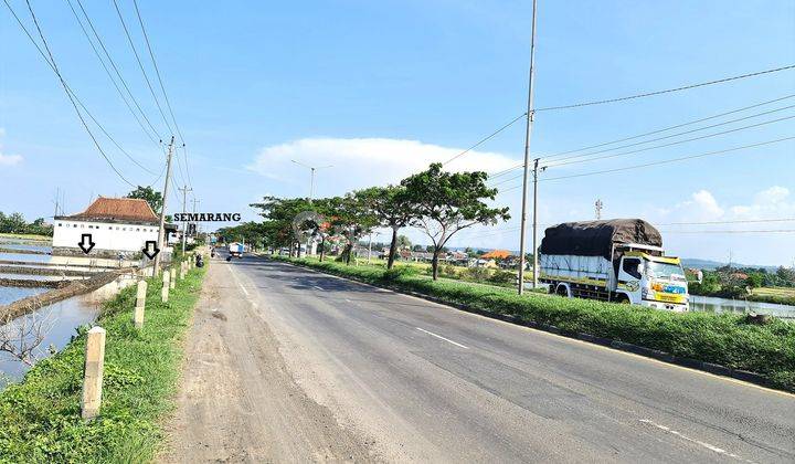 Tanah Zona Industri Ada Ijin Pengeringan siap Bangun lokasi Sangat Berkembang. 2