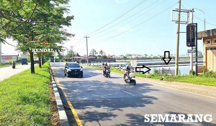 Tanah Zona Industri Raya Pantura Lingkar Kaliwungu Kendal Dekat Kik Pelabuhan Kendal Pintu Toll Kaliwungu 2