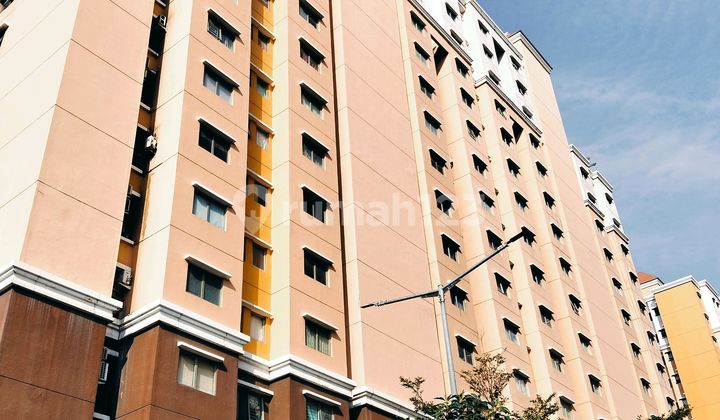 Disewa Apt City Resort, 2br, Kosong, Marigold