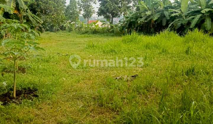 For Sale Vacant Land 4094M2 Suitable for Town House in Jagakarsa, South Jakarta For Sale Vacant Land 4094M2 Suitable for Town House in Jagakarsa, South Jakarta