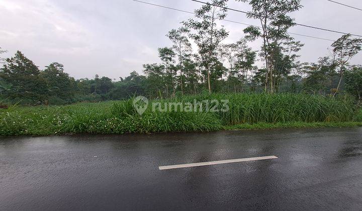 Tanah Industri Boyolali Jalan Raya Jual Cepat (Nego sampai deal) 2