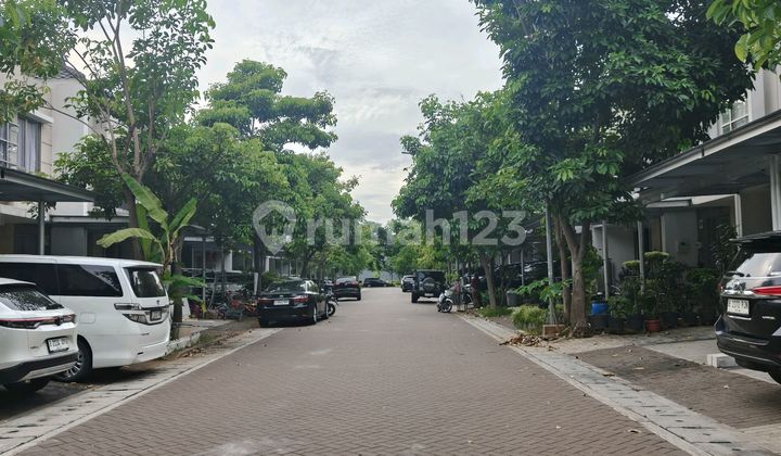 Rumah 2½ Lantai Full Furnish Full Renov Sangat Rapi Pik Golf Island Jarang Ada Rumah Di Cluster Symphony, Perumahan Golf Island, Jl. Akasia, Kamal Muara, Penjaringan, Kota Jakarta Utara, Dki Jakarta, Indonesia, 14470, Golf Island 2