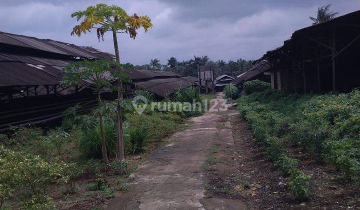 Tanah Bagus Siap Bangun 1