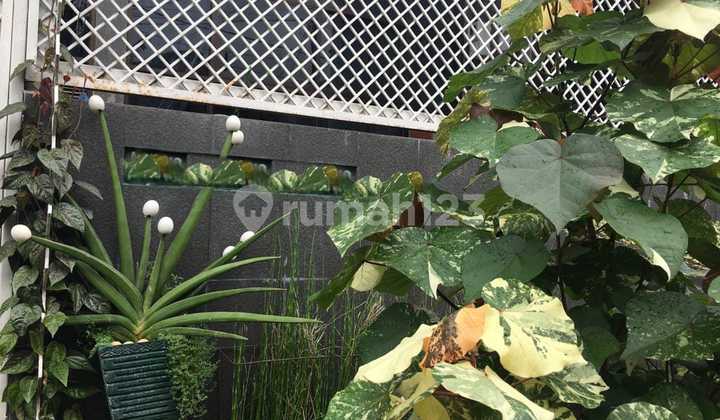 Rumah 2 Lantai 14x14m² Bagus Siap Huni SHM Sunter, Jakarta Utara