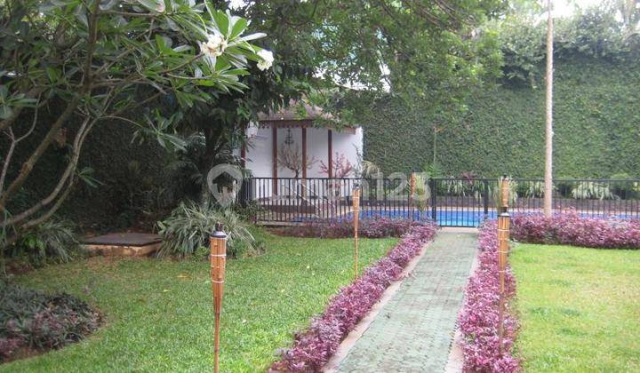 Spacious Backyard,Quiet Area. Kemang Jakarta Selatan 2
