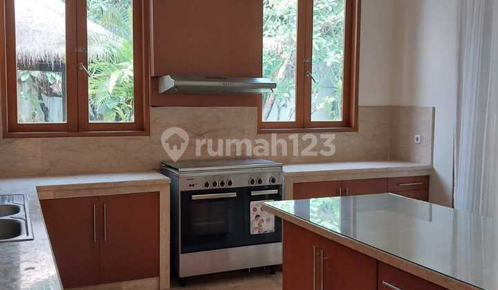 Backyard, Quiet Area, Kemang, South Jakarta 2