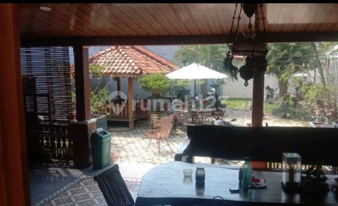 Comfortable Shop House 2