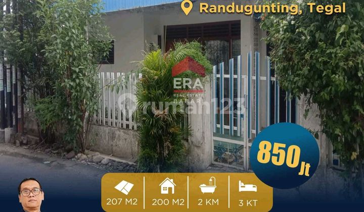 Rumah Asri Di Pusat Kota  1