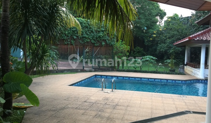 Besar dan Indah Rumah Untuk Disewa Besar dan Indah Rumah Untuk Disewa