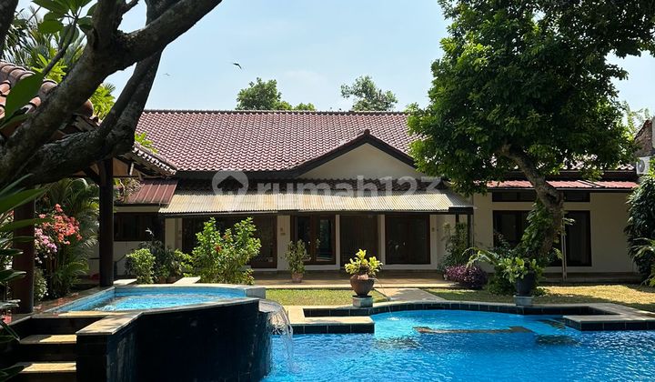 Rumah Asri dan Nyaman untuk disewakan daerah kemang Rumah Asri dan Nyaman untuk disewakan daerah kemang