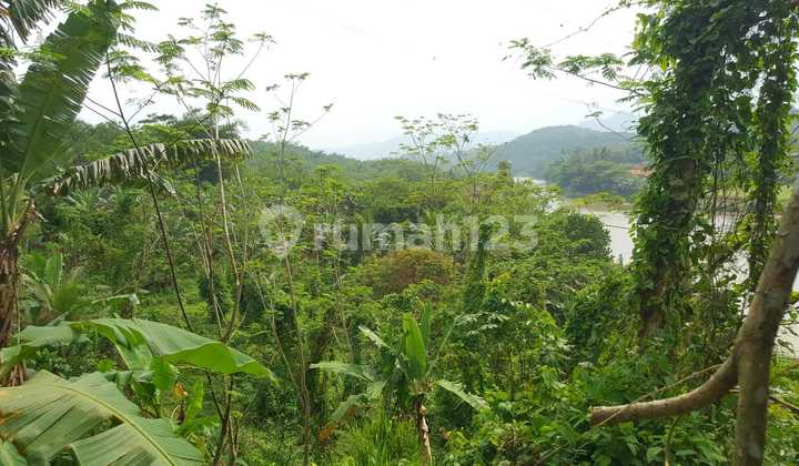 4 Hectare Land in Ciseeng, Sale 480k per m Bogor Regency Near Tangsel Neng 4 Hectare Land in Ciseeng, Sale 480k per m Bogor Regency Near Tangsel Neng