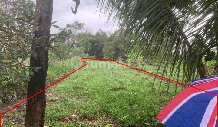 SALE Land 1070m UII Kaliurang, 1.1M Ngemplak Sleman Jogja Happy