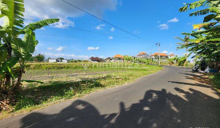 Tanah View Sawah, Jalan Aspal 6m, Canggu 1