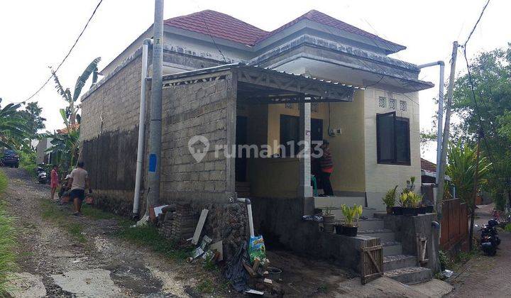 Rumah Baru Di Bangun 1 Lantai Disewakan, Area Canggu 1