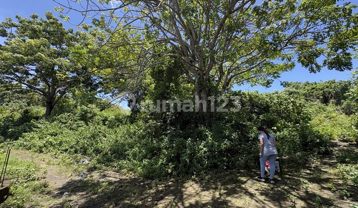 Premium 11 Are Land with Sea View for Sale, in Siligita Nusa Dua Area