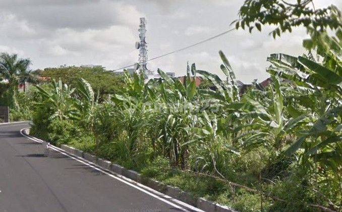 Tanah 20 Are Disewakan Jangka Panjang Pinggir Jalan , Area Badung 1