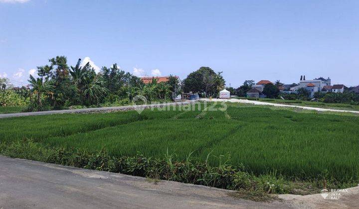 Tanah Kavling 6.15 Are Dijual View Sawah, Area Badung 1