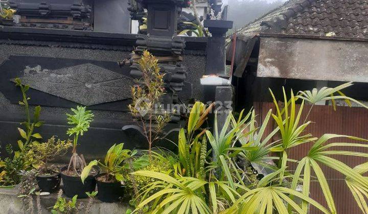 Rumah Bagus Dijual Area Kintamani, Bangli 3