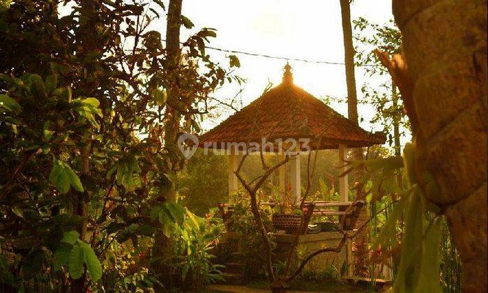 Amazing Opportunity Villa In Candi Dasa, Karangasem  2