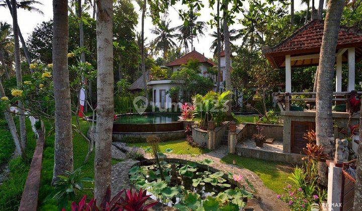 Amazing Opportunity Villa In Candi Dasa, Karangasem  10