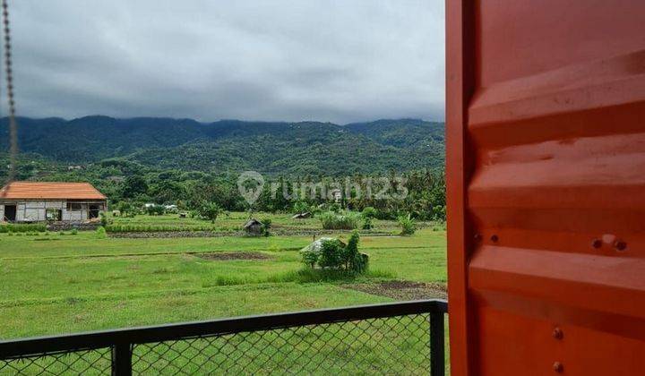 Guesthouse Disewakan Area Lovina, Buleleng Bali 6