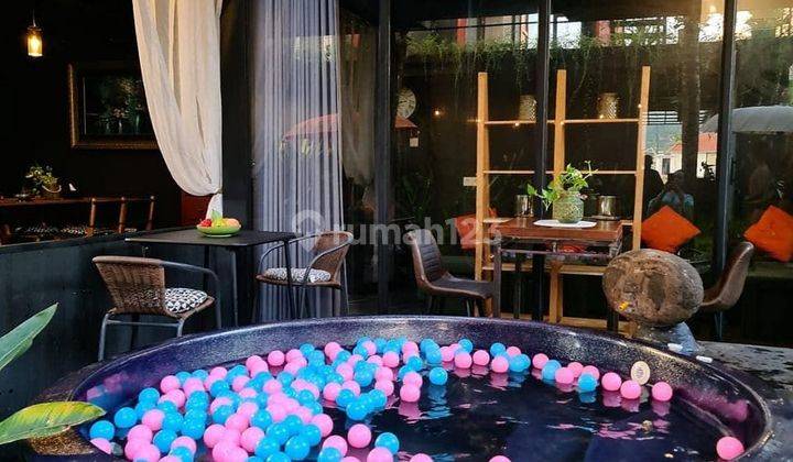 Guesthouse Disewakan Area Lovina, Buleleng Bali 7