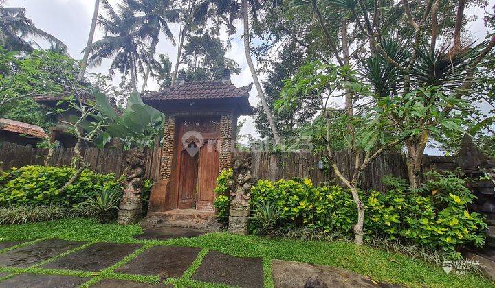 Lahan Luas 7 Are Disewakan Area Lodtunduh Ubud, Gianyar 1