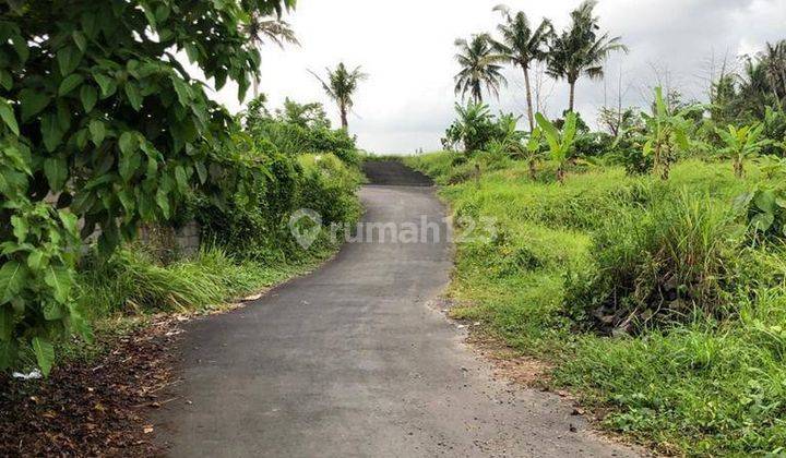 Lahan Aspek Jalan Aspal Disewakan di Blahbatuh, Gianyar 2