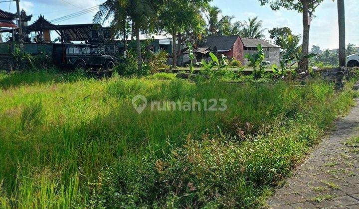 Tanah Disewakan Cocok Untuk Gudang, di Mengwi 2