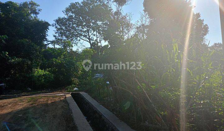 Tanah Cocok Untuk Gudang Atau Kantor Disewakan, Area Mengwi 2