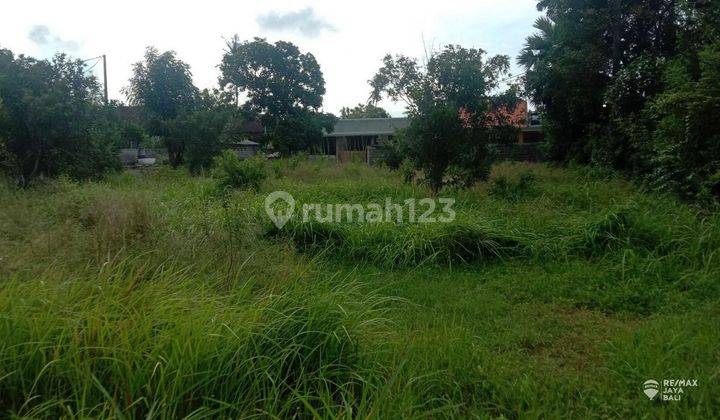 Land 10 Are Premium Location for Rent, Kerobokan Area 2