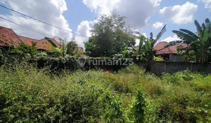 2.5 acre land for sale in residential area, North Denpasar area 2