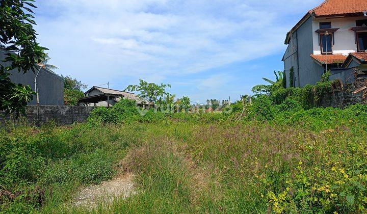 10.8 acre land close to Kedungu Beach for sale. Tabanan area 2