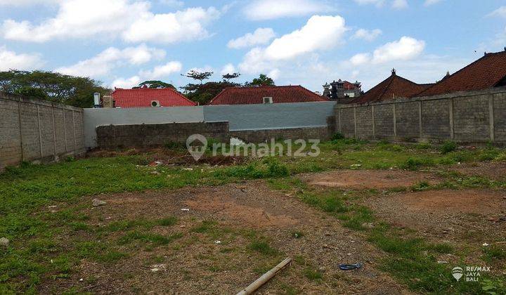 Premium Land 11.6 are Ready to Build for Rent, Umalas area 1