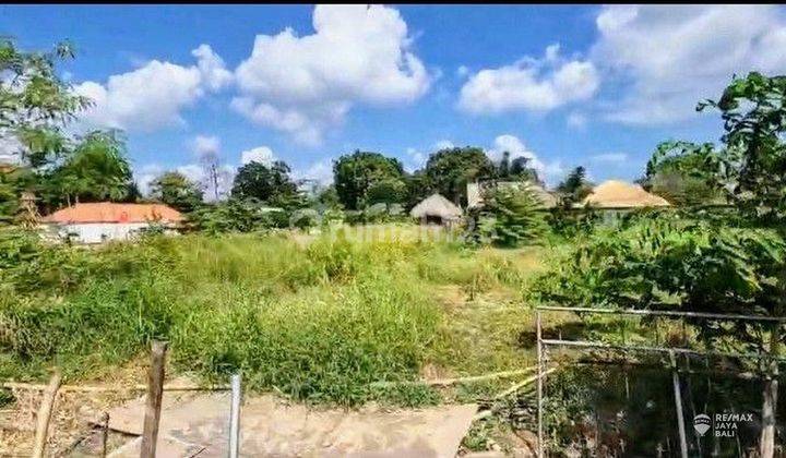 Ready to Build Land 12 are for Rent, Canggu area 2