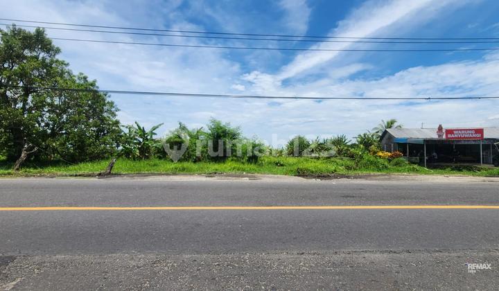 Tanah ±6 Ha Koridor Utama Logistic, Dijual di By Pass Gilimanuk. Tanah ±6 Ha Koridor Utama Logistic, Dijual di By Pass Gilimanuk.