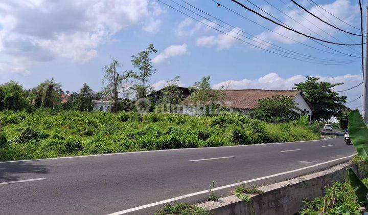 Beautiful Land 11.8 Are For Rent, Canggu Area 2